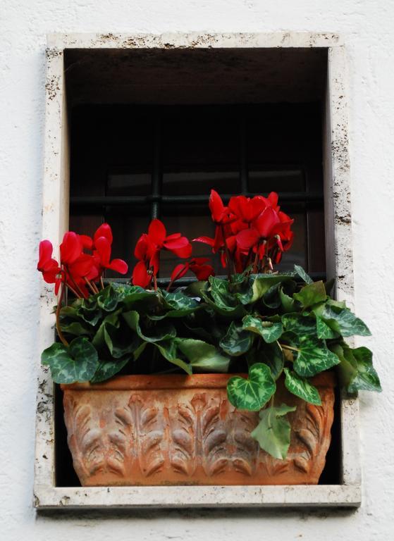 Le Stanze Dei Nonni Bed & Breakfast Avellino Exterior photo